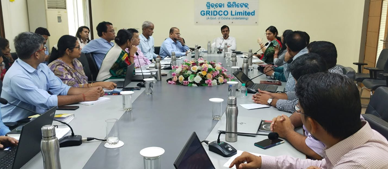 MD, GRIDCO chairs meeting on mapping of energy